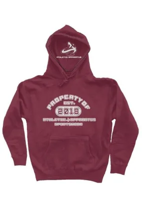 athletic apparatus Currant HD2 heavyweight pullover