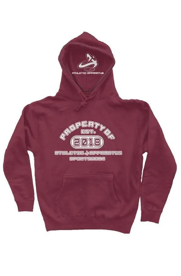 athletic apparatus Currant HD2 heavyweight pullover