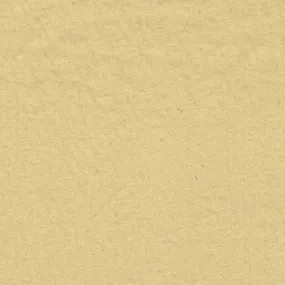 Champaigne | Shiny Nylon Crinkle - SKU 3007A