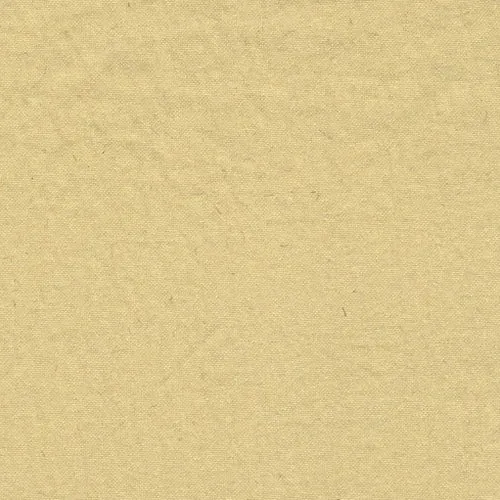 Champaigne | Shiny Nylon Crinkle - SKU 3007A