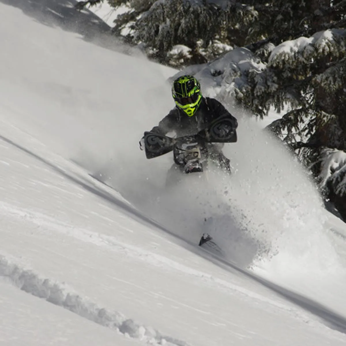 Giant Loop Bushwacker HandGuards