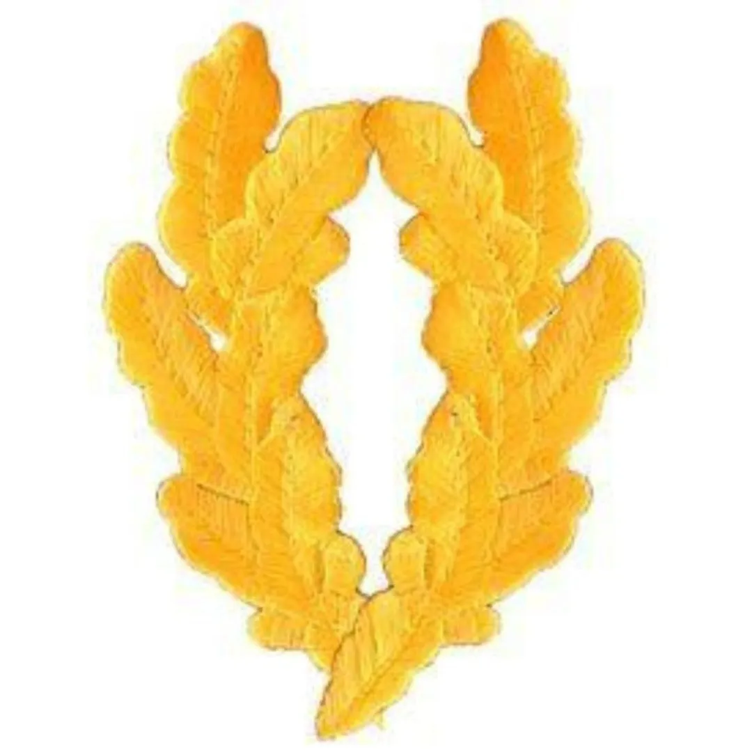 Patch - Scrambled Egg - Gold