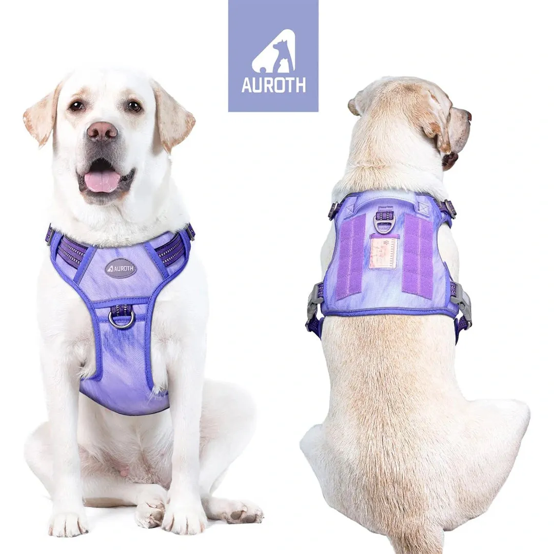 Training Harness