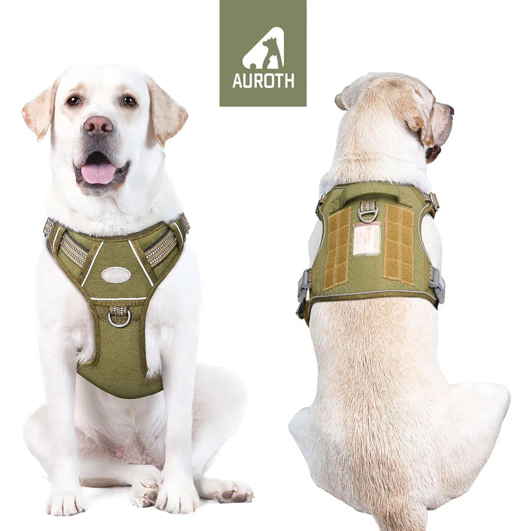 Training Harness