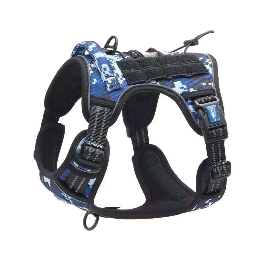 Training Harness